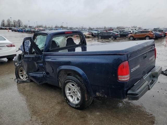 2004 Dodge Dakota SXT