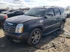 2011 Cadillac Escalade Luxury