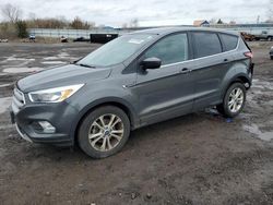 Salvage cars for sale from Copart Columbia Station, OH: 2019 Ford Escape SE