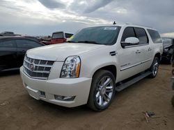 Cadillac Vehiculos salvage en venta: 2014 Cadillac Escalade ESV Platinum