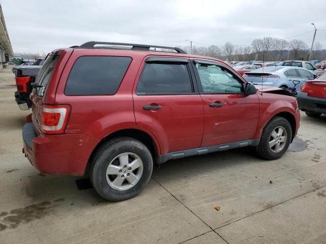 2010 Ford Escape XLT