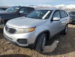 KIA Sorento Base salvage cars for sale: 2012 KIA Sorento Base