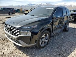 Salvage cars for sale from Copart Magna, UT: 2023 Hyundai Santa FE SE