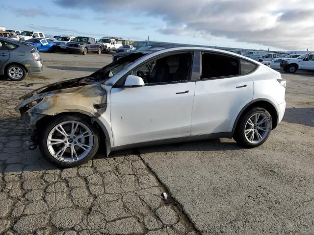 2020 Tesla Model Y