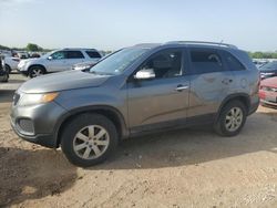 2011 KIA Sorento Base en venta en San Antonio, TX