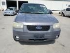 2007 Ford Escape XLT