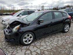 2014 Ford Focus SE for sale in Bridgeton, MO