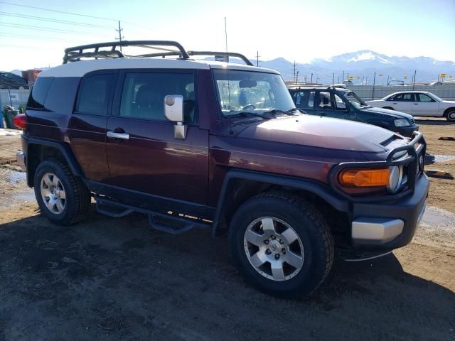 2007 Toyota FJ Cruiser