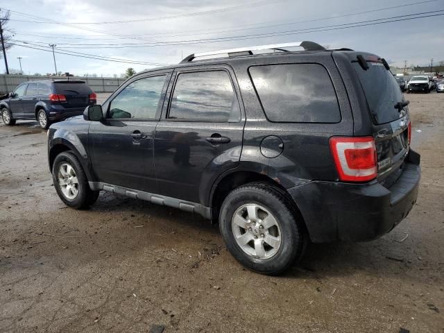 2011 Ford Escape Limited