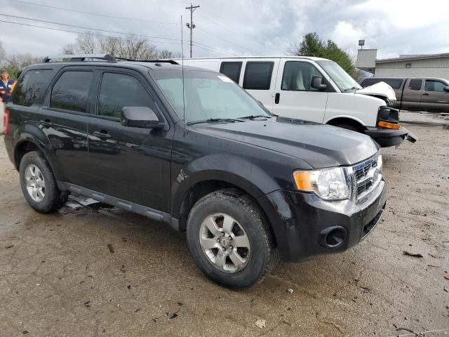 2011 Ford Escape Limited