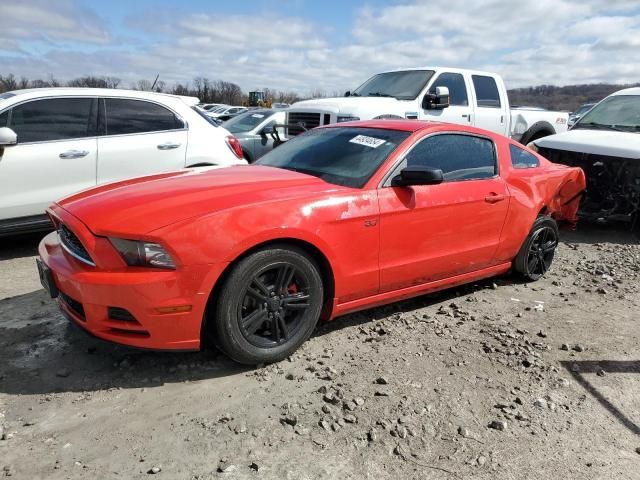 2013 Ford Mustang