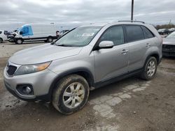 2013 KIA Sorento LX en venta en Indianapolis, IN