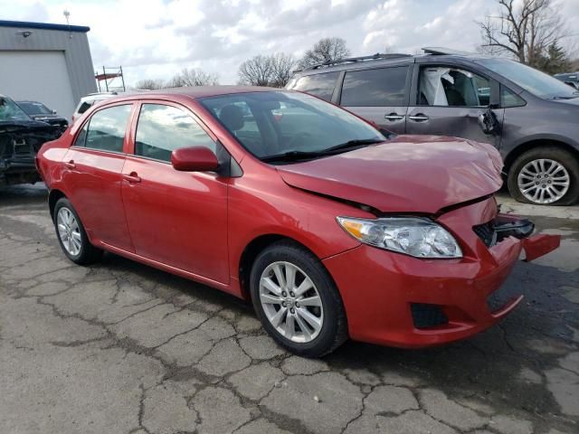 2010 Toyota Corolla Base