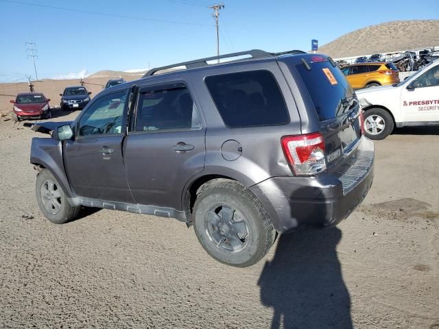 2011 Ford Escape XLT