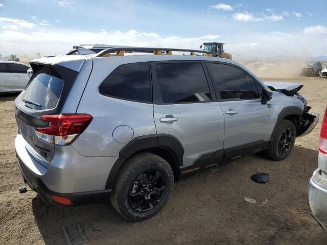 2023 Subaru Forester Wilderness