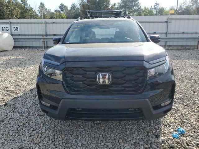 2023 Honda Passport Elite