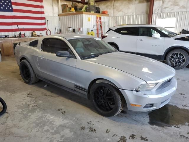 2010 Ford Mustang