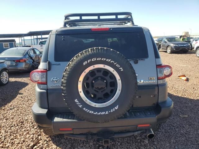 2013 Toyota FJ Cruiser