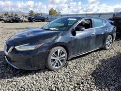 Salvage cars for sale from Copart Reno, NV: 2019 Nissan Maxima S