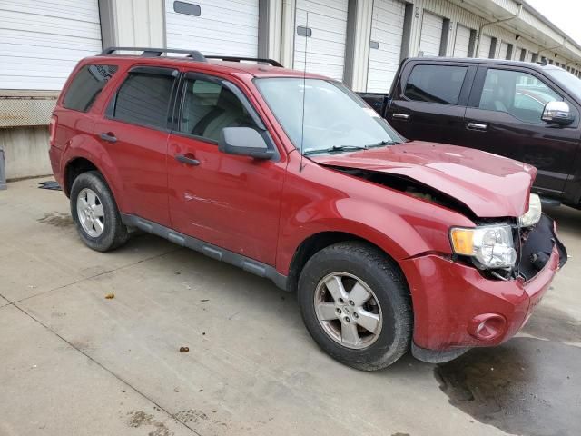 2010 Ford Escape XLT