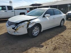 Nissan Altima salvage cars for sale: 2010 Nissan Altima Base