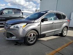 Ford Escape Titanium Vehiculos salvage en venta: 2014 Ford Escape Titanium