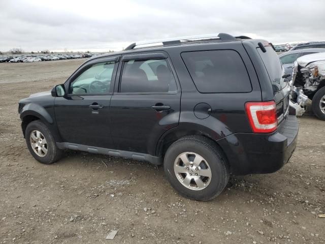 2012 Ford Escape Limited