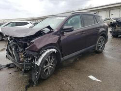 Salvage cars for sale from Copart Louisville, KY: 2016 Toyota Rav4 LE