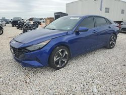 Salvage cars for sale from Copart Temple, TX: 2023 Hyundai Elantra SEL