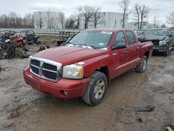 Vehiculos salvage en venta de Copart Central Square, NY: 2007 Dodge Dakota Quad SLT