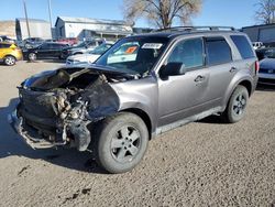 Salvage cars for sale from Copart Albuquerque, NM: 2011 Ford Escape XLT