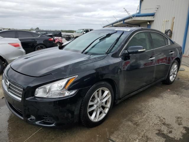 2009 Nissan Maxima S