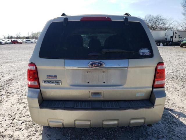 2011 Ford Escape Limited