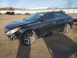 2013 Hyundai Sonata SE en venta en Columbia Station, OH