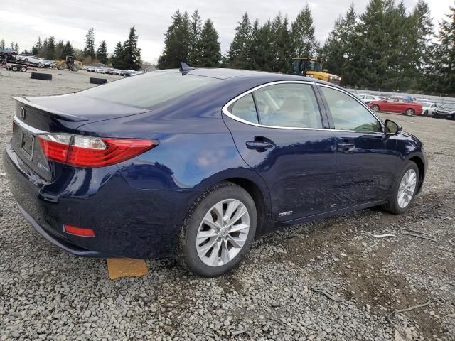 2013 Lexus ES 300H