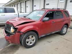 2010 Ford Escape XLT en venta en Louisville, KY