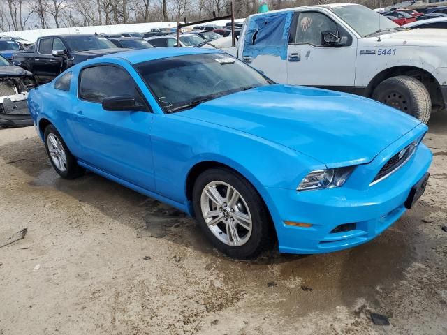 2013 Ford Mustang