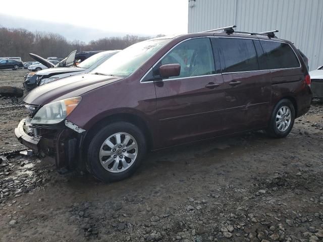 2008 Honda Odyssey EXL