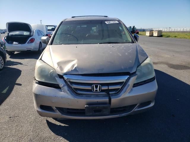 2005 Honda Odyssey EXL