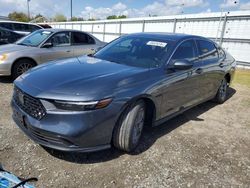 Honda Accord salvage cars for sale: 2024 Honda Accord EX