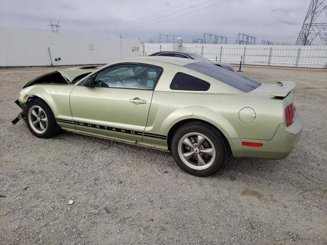 2005 Ford Mustang