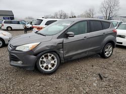 2013 Ford Escape SEL for sale in Louisville, KY