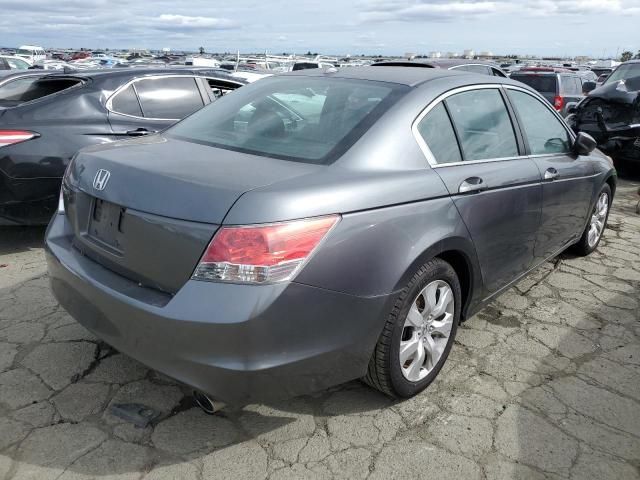 2010 Honda Accord EXL