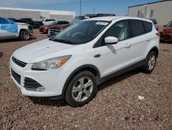 Ford Escape salvage cars for sale: 2016 Ford Escape SE