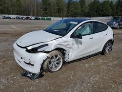 2023 Tesla Model Y for sale in Gainesville, GA