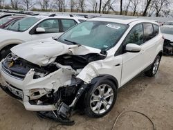 Ford Vehiculos salvage en venta: 2013 Ford Escape SEL