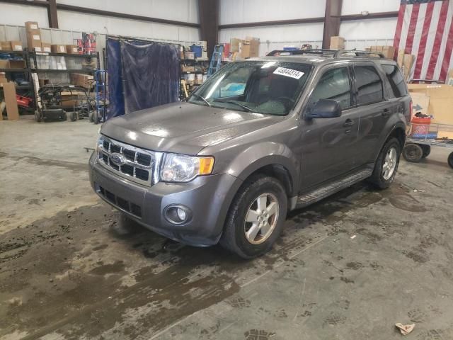 2009 Ford Escape XLT