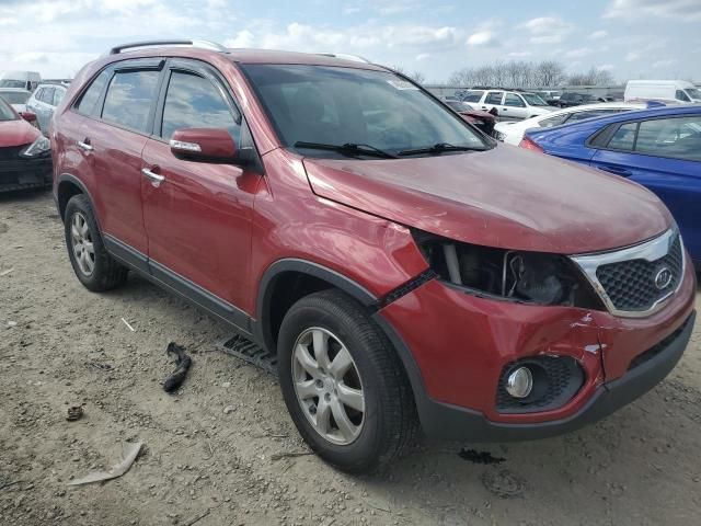 2011 KIA Sorento Base