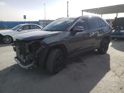 2020 Toyota Rav4 XLE en venta en Anthony, TX