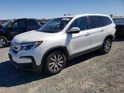 Honda Pilot salvage cars for sale: 2019 Honda Pilot EXL